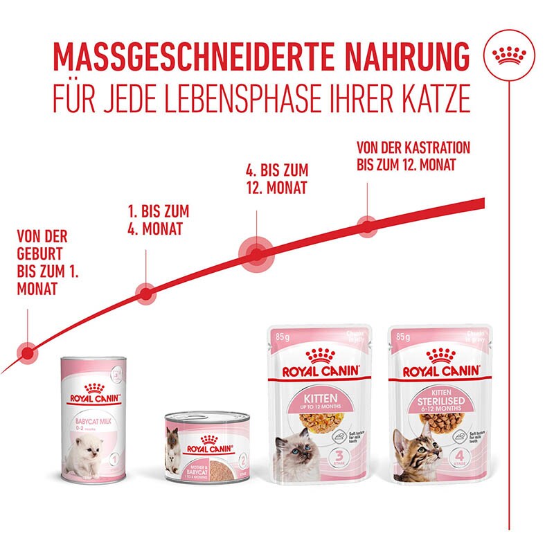 Royal Canin Kitten Nassfutter in Gelee für Kätzchen_6