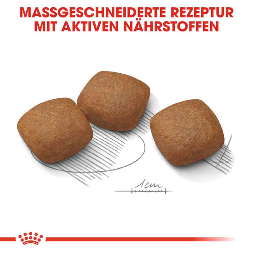 Royal Canin Joint Care Maxi Trockenfutter für große Hunde mit empfindlichen Gelenken_4