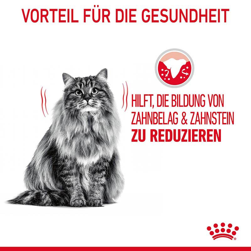 Royal Canin Dental Care Katzennahrung trocken für gesunde Zähne (ORAL CARE)_3