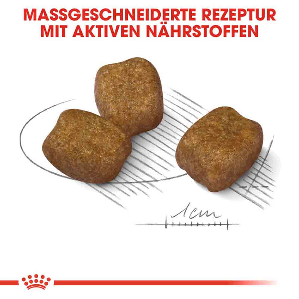 Royal Canin Dental Care Mini Trockenfutter für kleine Hunde mit empfindlichen Zähnen_4