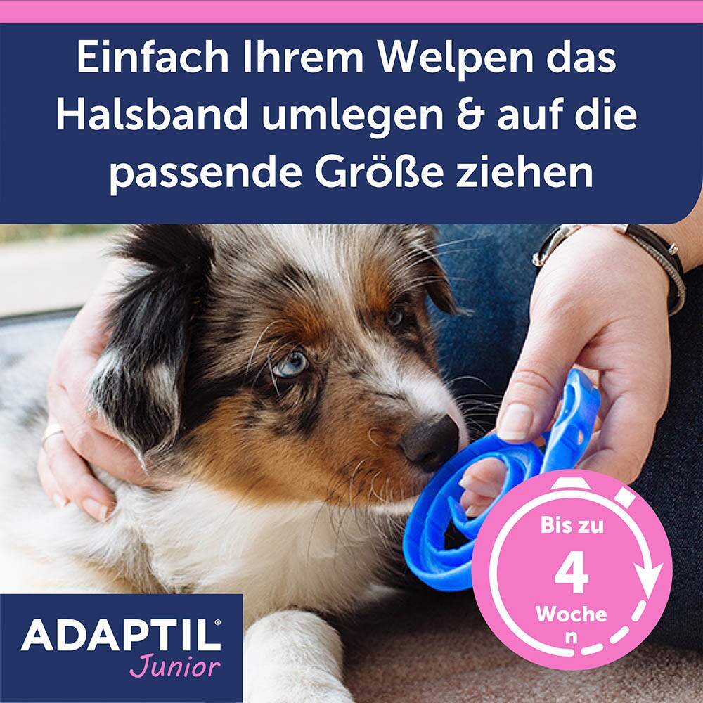 Adaptil Junior Halsband_3