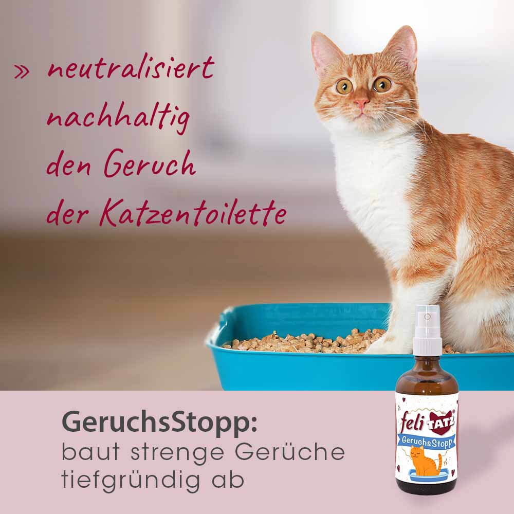 cdVet feliTATZ GeruchsStopp_5