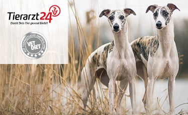 Tierarzt24 Alleinfutter