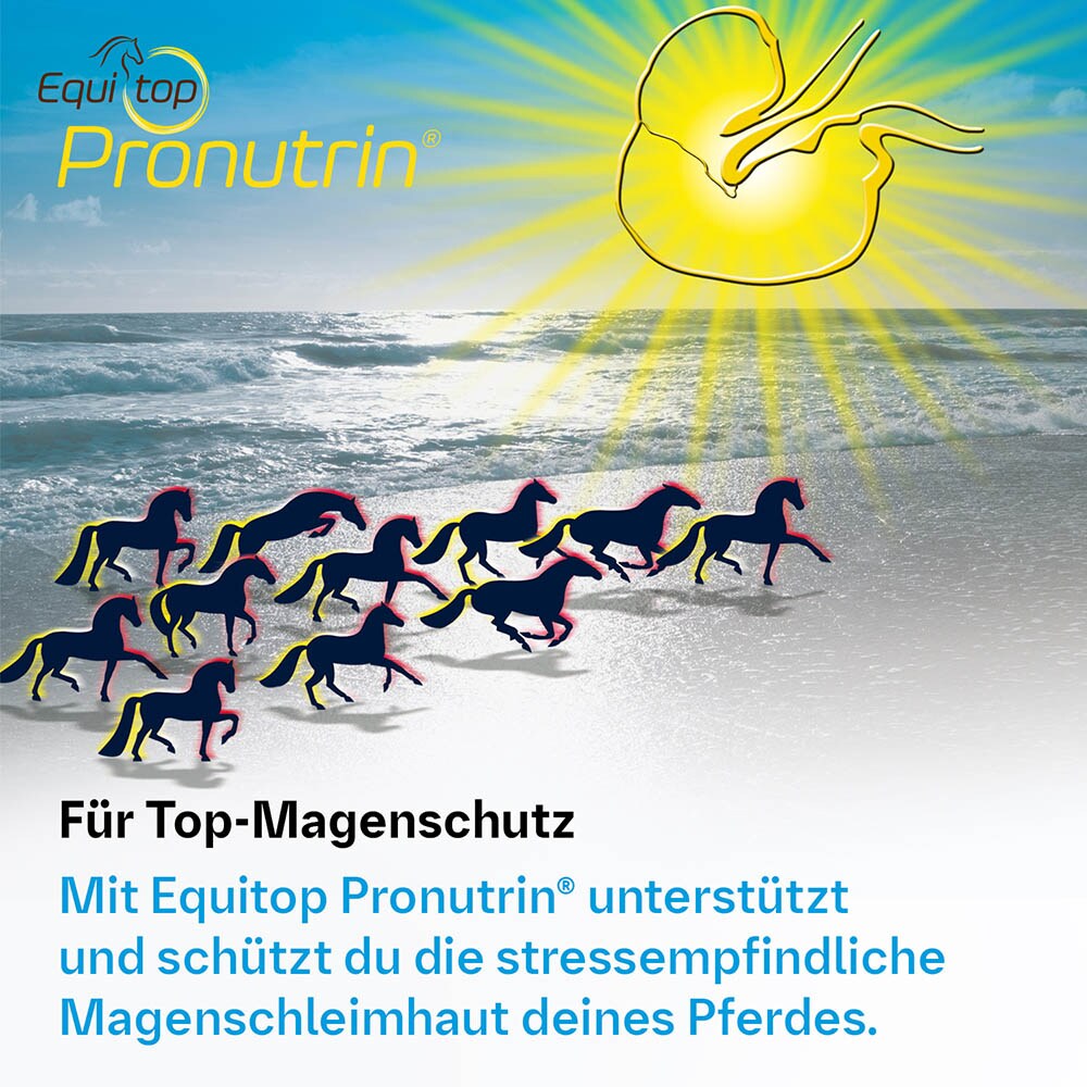 Boehringer Ingelheim Equitop Pronutrin_2