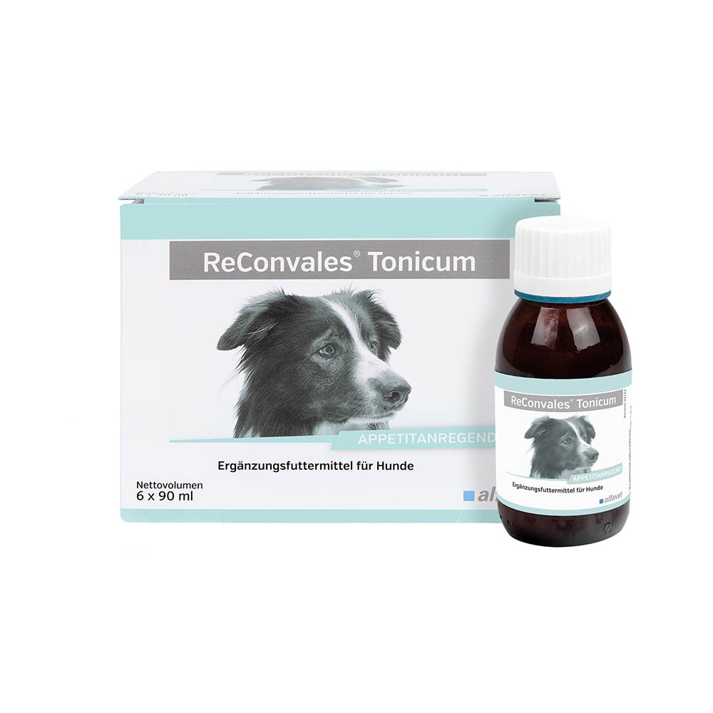 Alfavet ReConvales Tonicum Hund_1