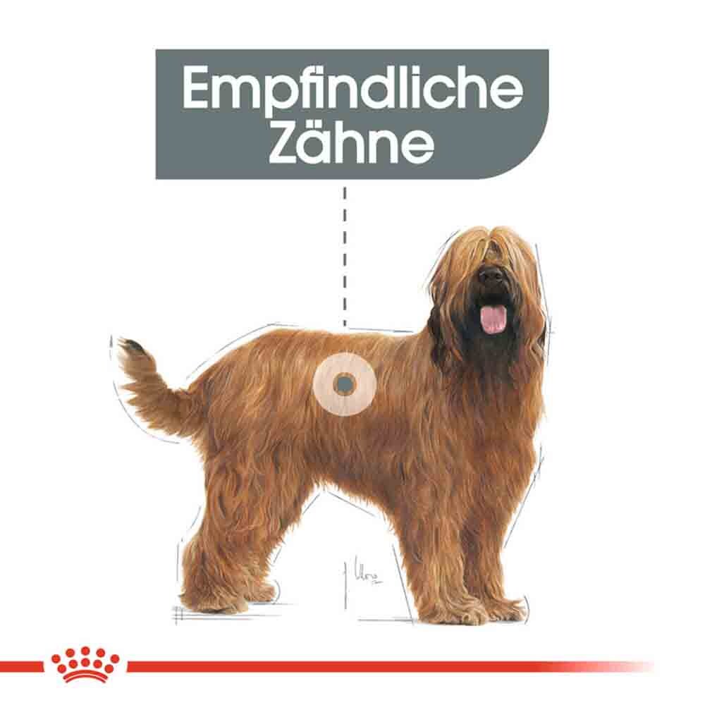 Royal Canin Dental Care Maxi Trockenfutter für große Hunde mit empfindlichen Zähnen_2