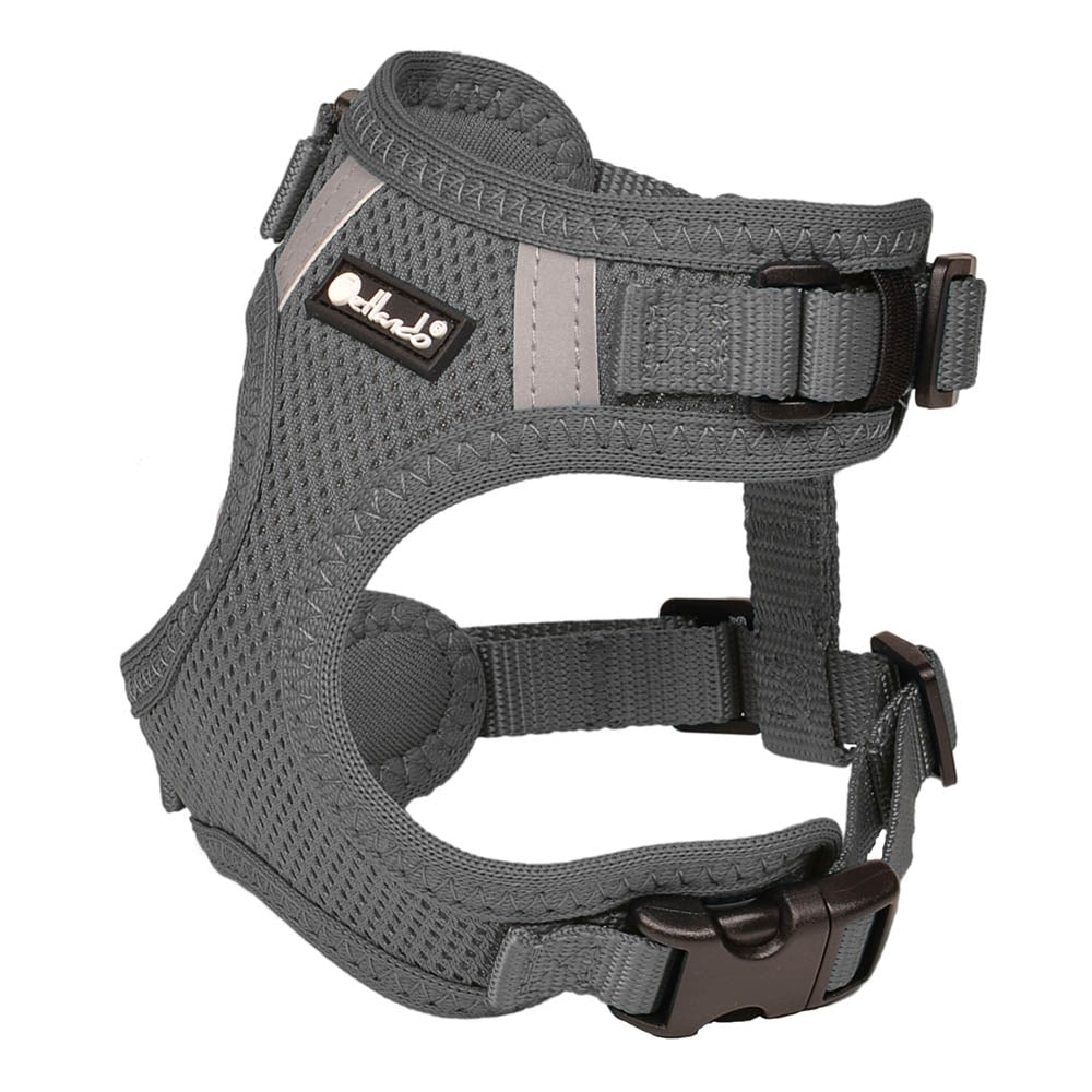 Petlando Mesh Vest anthrazit_0