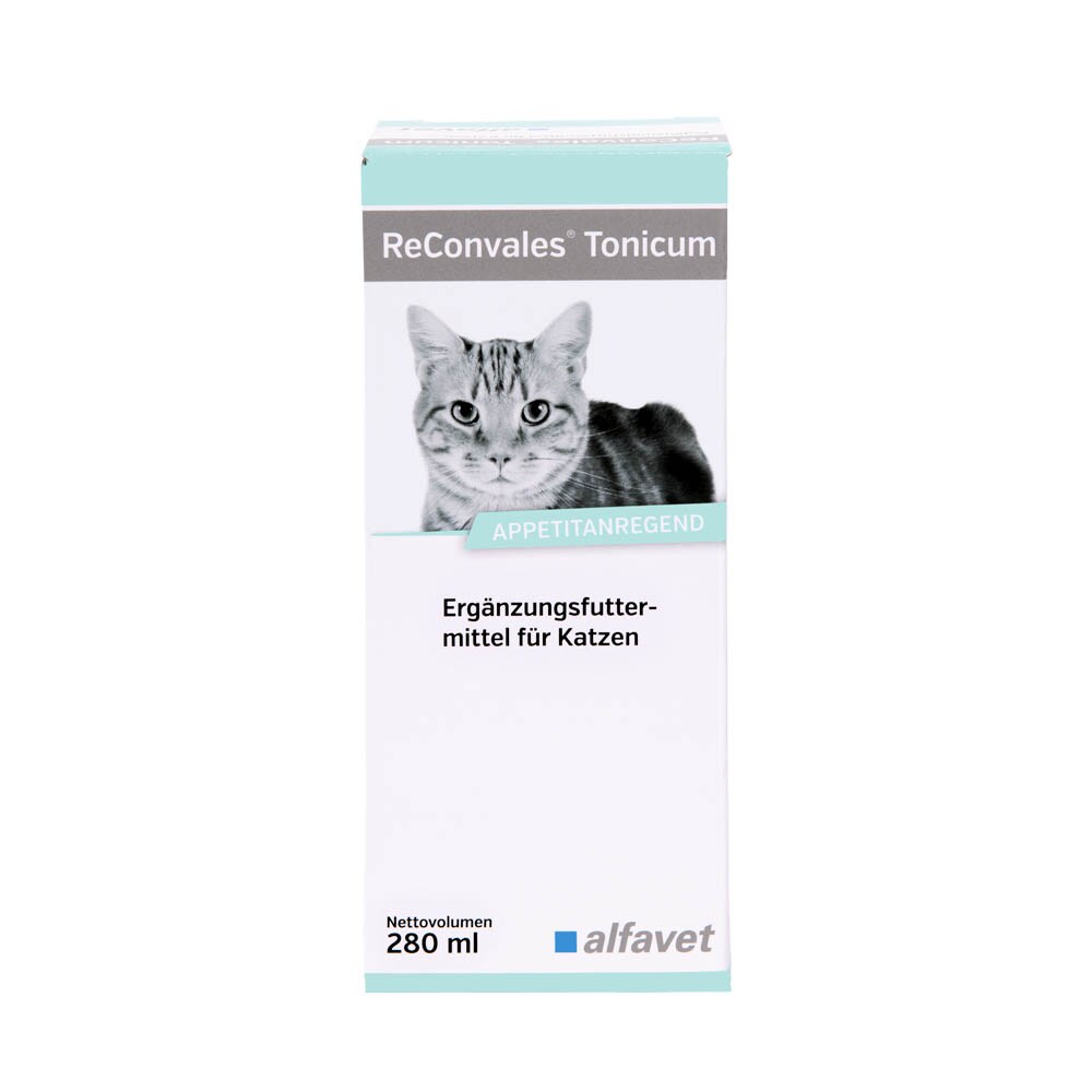 Alfavet ReConvales Tonicum Katze_2