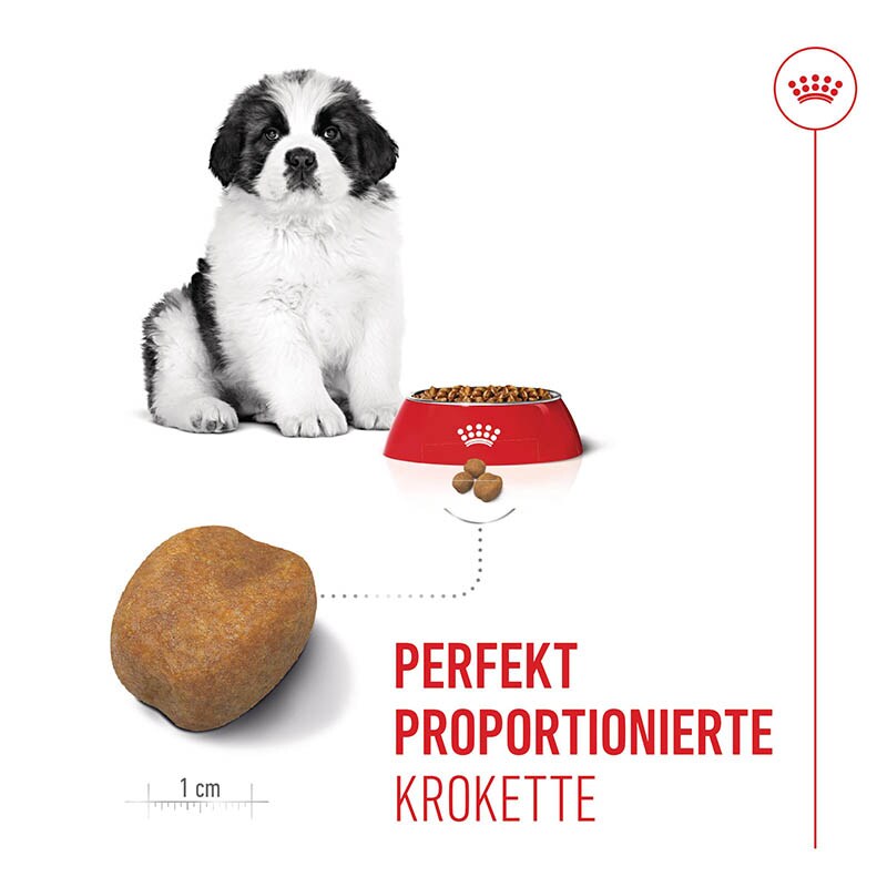 Royal Canin Giant Puppy Trockenfutter für Welpen sehr großer Rassen_4