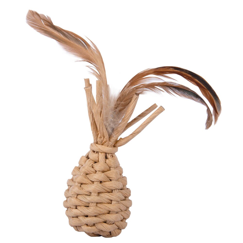 Petlando Earthcat Catnip Ananas_0