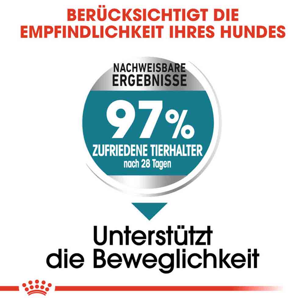 Royal Canin Joint Care Maxi Trockenfutter für große Hunde mit empfindlichen Gelenken_3