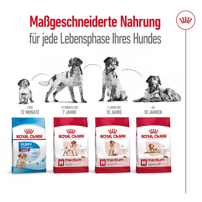 Royal Canin Medium Adult Trockenfutter für mittelgroße Hunde_6