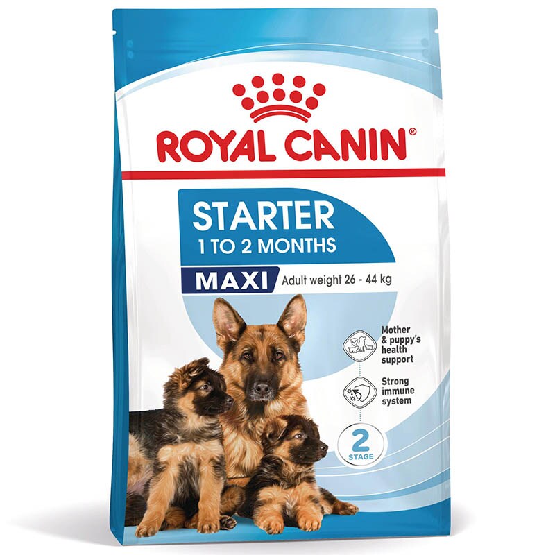 Royal Canin Maxi Starter für tragende Hündin und Welpen großer Rassen_0