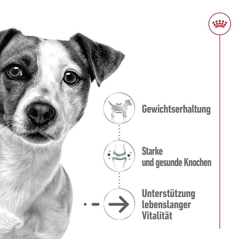 Royal Canin Mini Ageing Feuchtnahrung als Stückchen in Soße (>8. Lebensjahr)_1