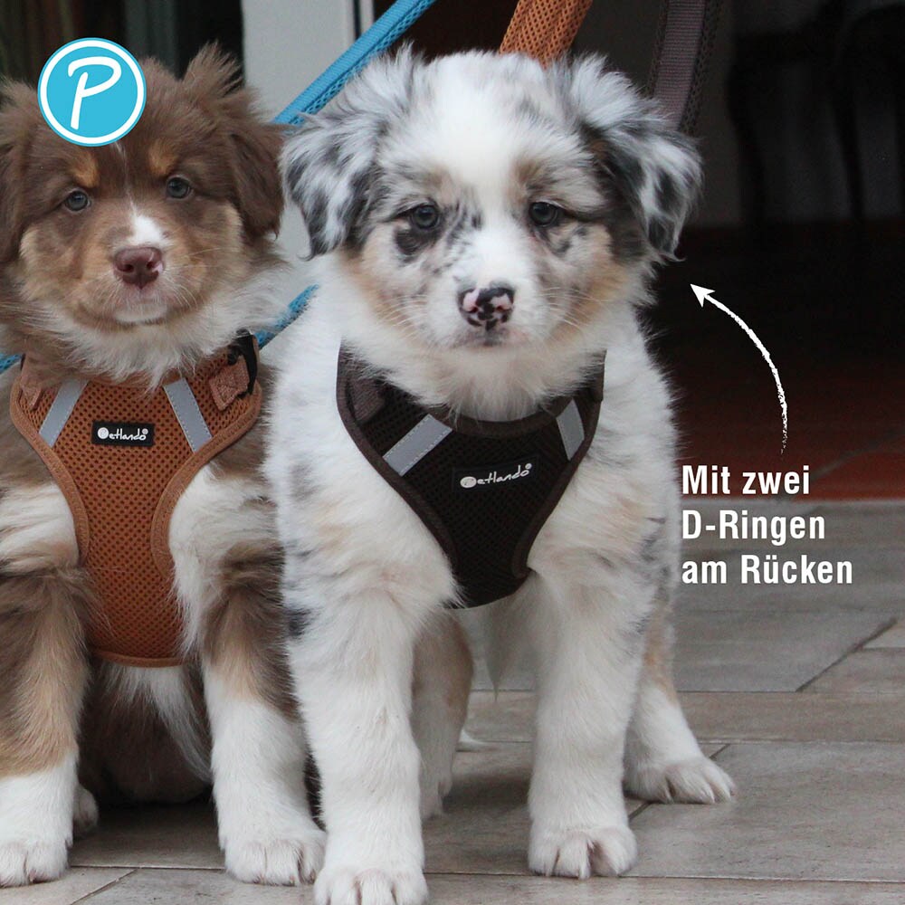 Petlando Mesh Vest Geschirr mokka_4