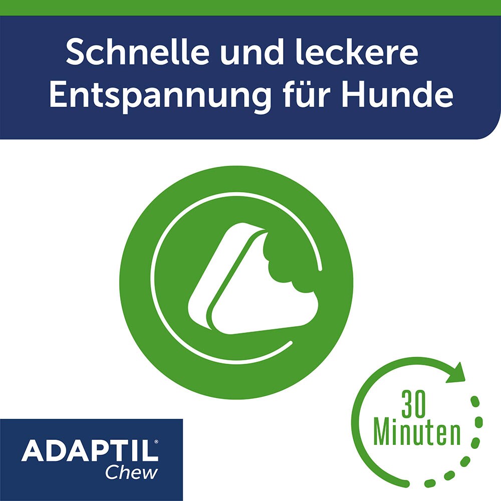 Adaptil Chew_2