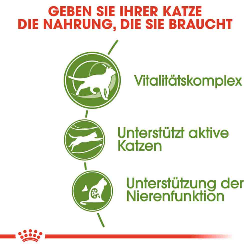 Royal Canin Outdoor 7+ Katzenfutter trocken für ältere Freigänger_3