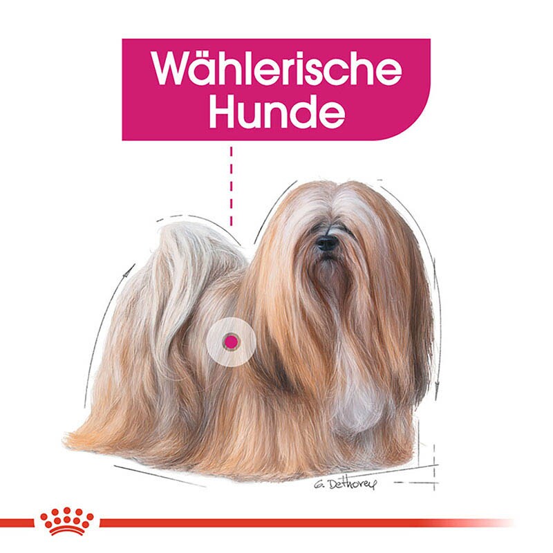 Royal Canin Exigent Mini Trockenfutter für wählerische kleine Hunde_2