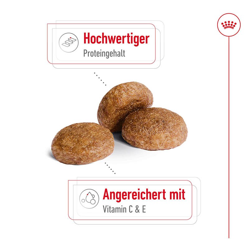 Royal Canin Medium Adult 7+ Trockenfutter für ältere mittelgroße Hunde_3