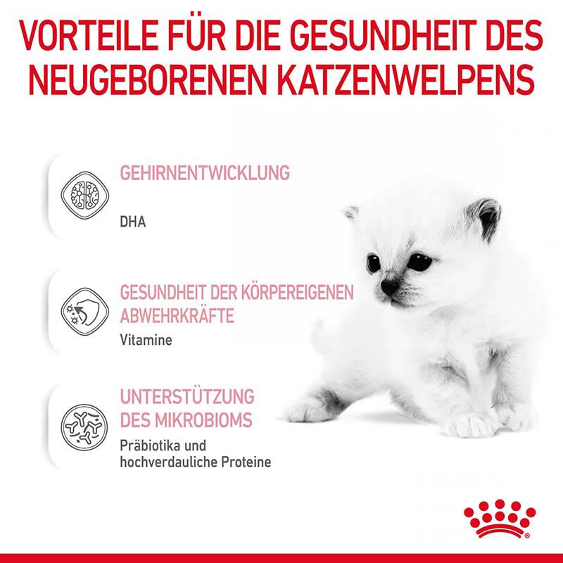 Royal Canin Babycat Milk Milchpulver als Ersatzmilch für die Ernährung von Katzenwelpen_2