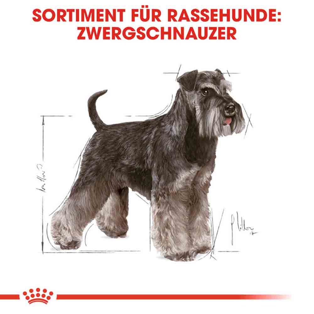 Royal Canin Miniature Schnauzer Adult Hundefutter trocken_2