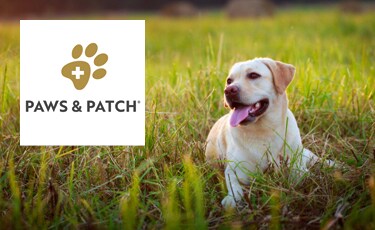 PAWS & PATCH