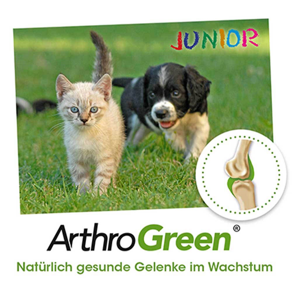 cdVet ArthroGreen Junior_4