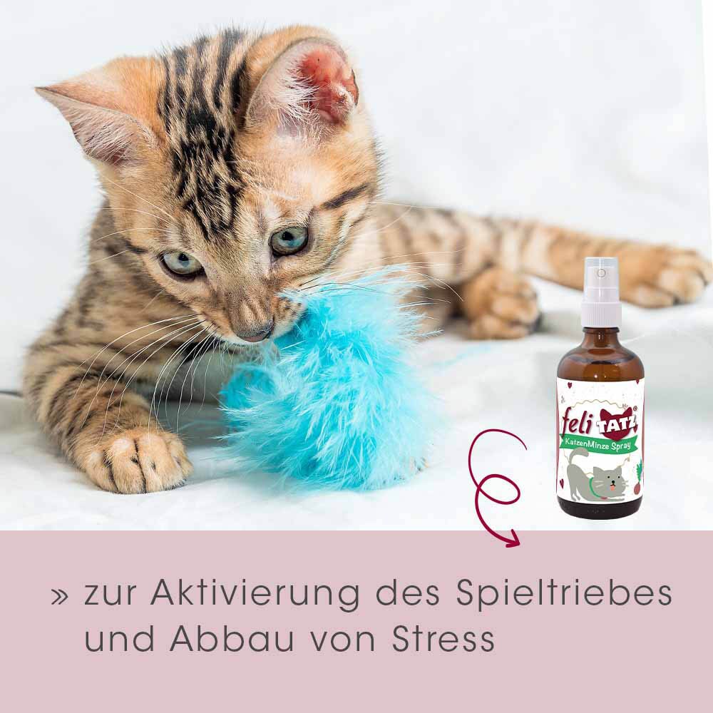 cdVet feliTATZ KatzenMinze Spray_1
