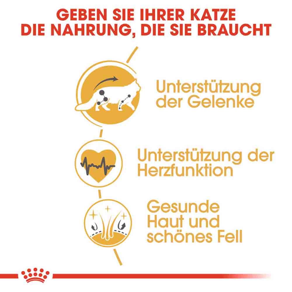 Royal Canin Maine Coon Adult Katzenfutter trocken _3