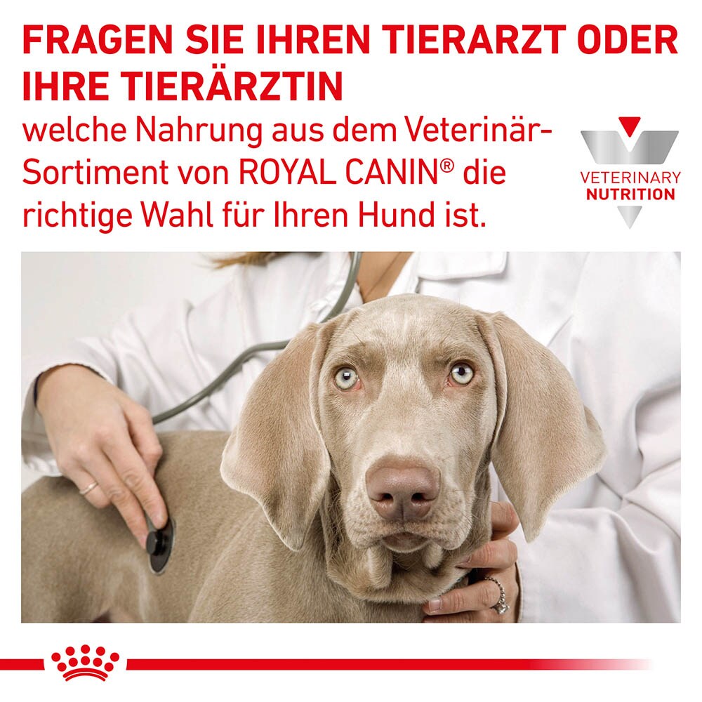 Royal Canin Gastrointestinal High Fibre Mousse Nassfutter für Hunde_6