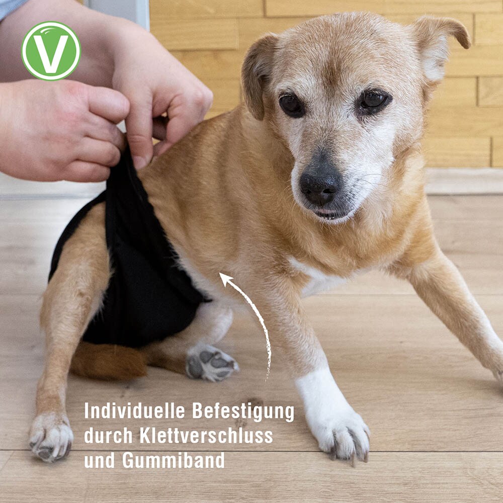 Vetlando waschbare Hündinnenwindel_3