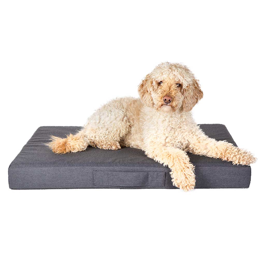 Tierarzt24 Hundebett Safe & Dry Atlanta  anthrazit_0