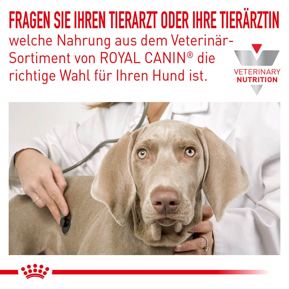 Royal Canin Veterinary Anallergenic Trockenfutter für Hunde_1