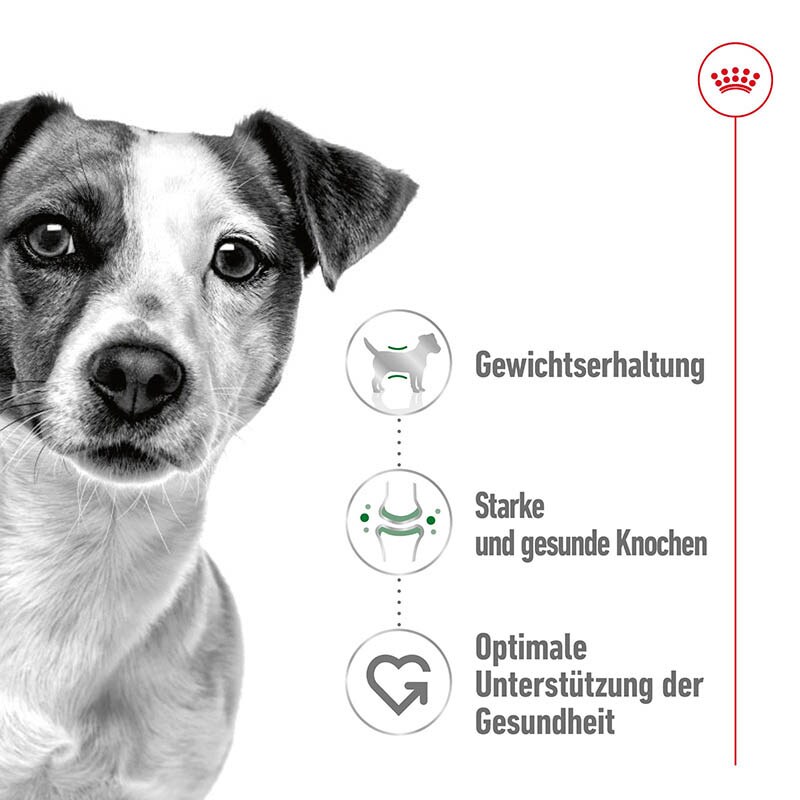 Royal Canin Mini Adult Feuchtnahrung als Häppchen in Soße (>10. Lebensmonat)_1