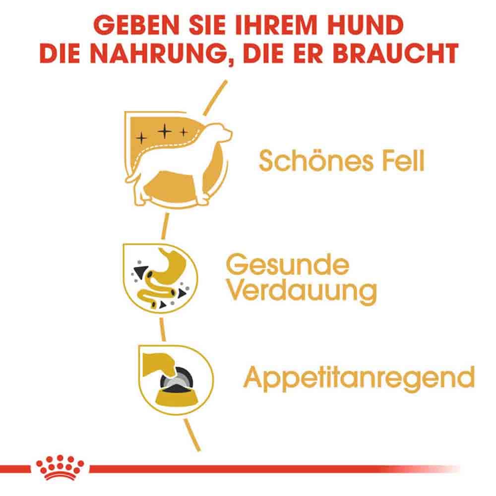 Royal Canin Chihuahua Adult Hundefutter nass_3
