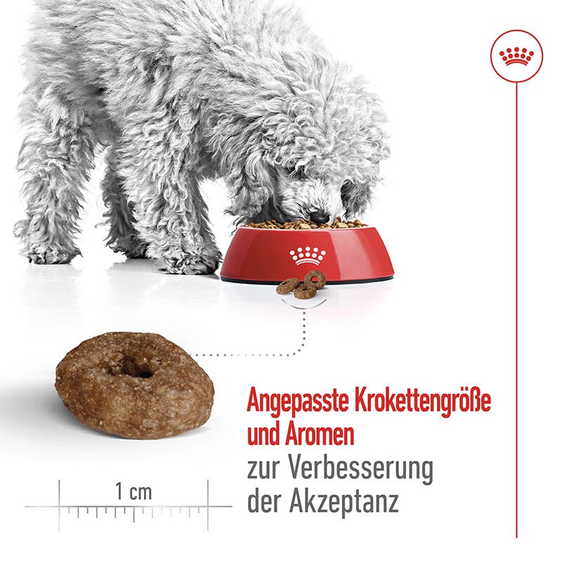 Royal Canin Mini Ageing 12+ Trockenfutter für ältere kleine Hunde_3