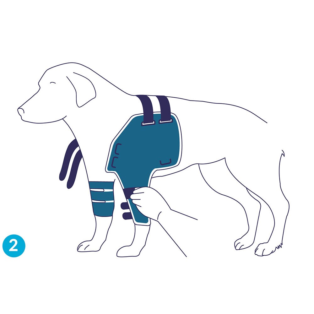Balto Rehab-Orthese BT Lux_2
