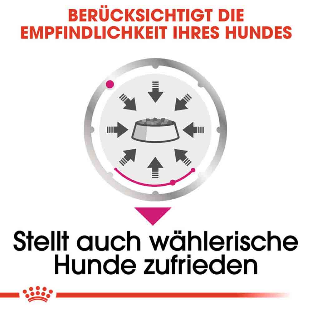 Royal Canin Exigent Nassfutter für wählerische Hunde_3