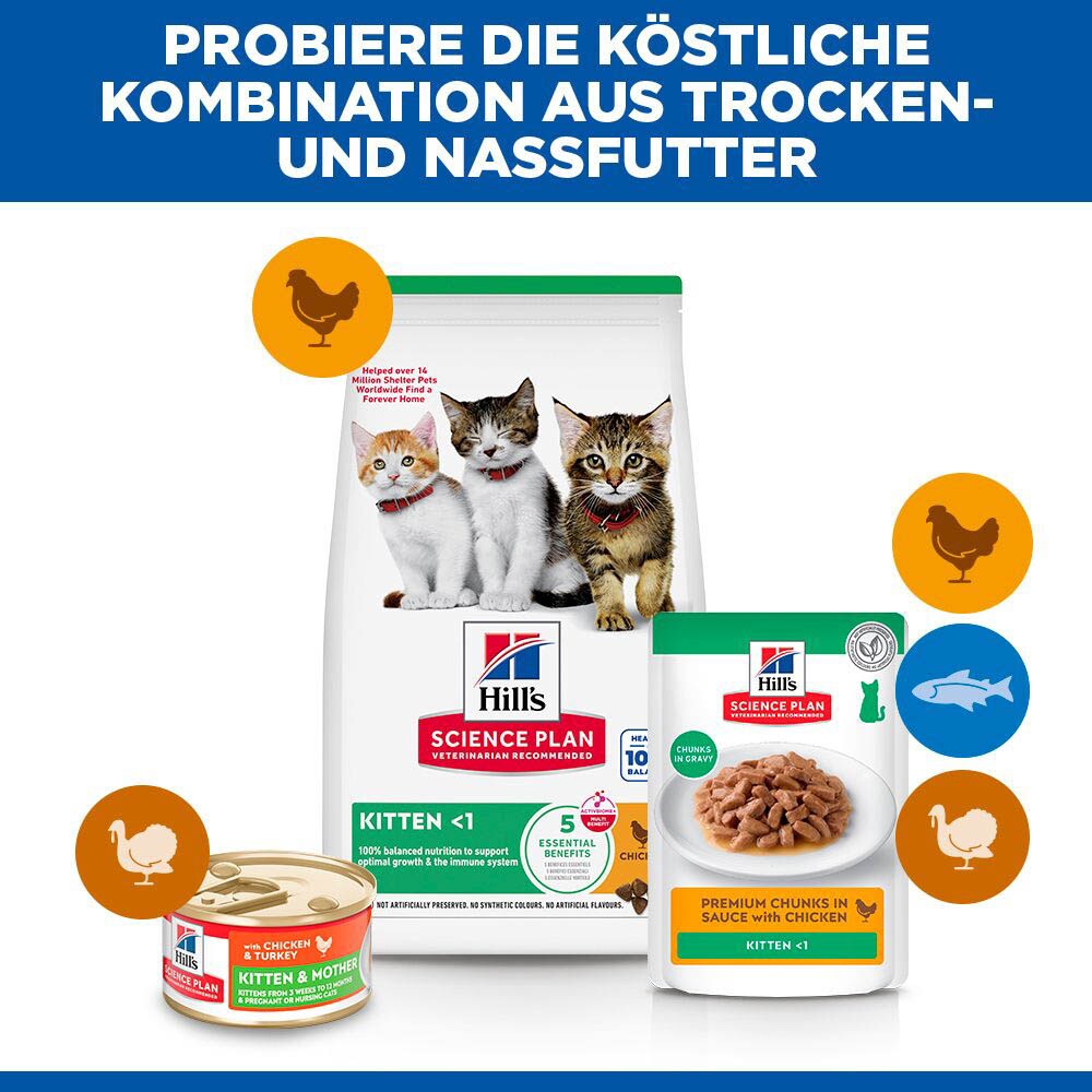 Hills Science Plan Feline Kitten Huhn_5