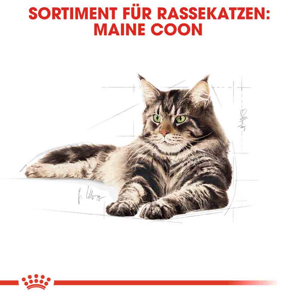 Royal Canin Maine Coon Adult Katzenfutter trocken _2