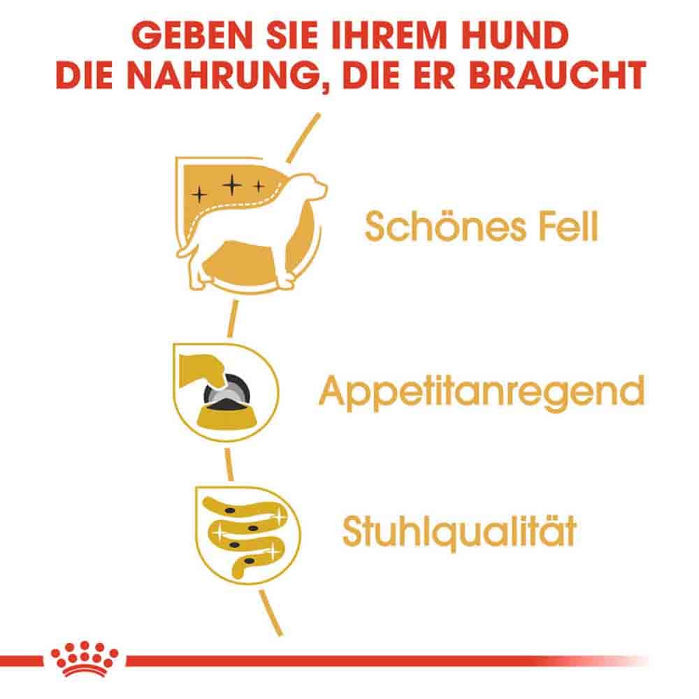 Royal Canin Yorkshire Terrier Adult Hundefutter nass _3