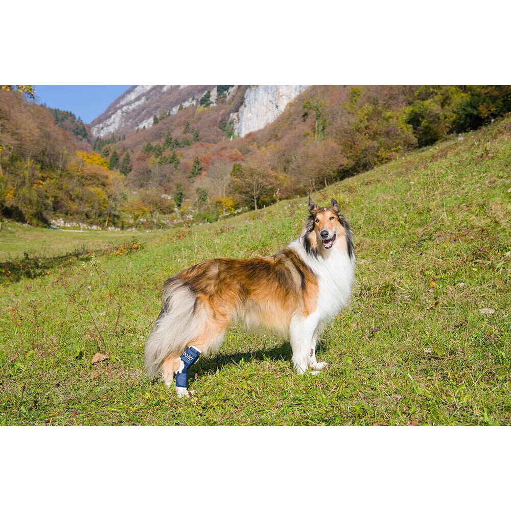 Balto Rehab-Orthese BT Hock_1