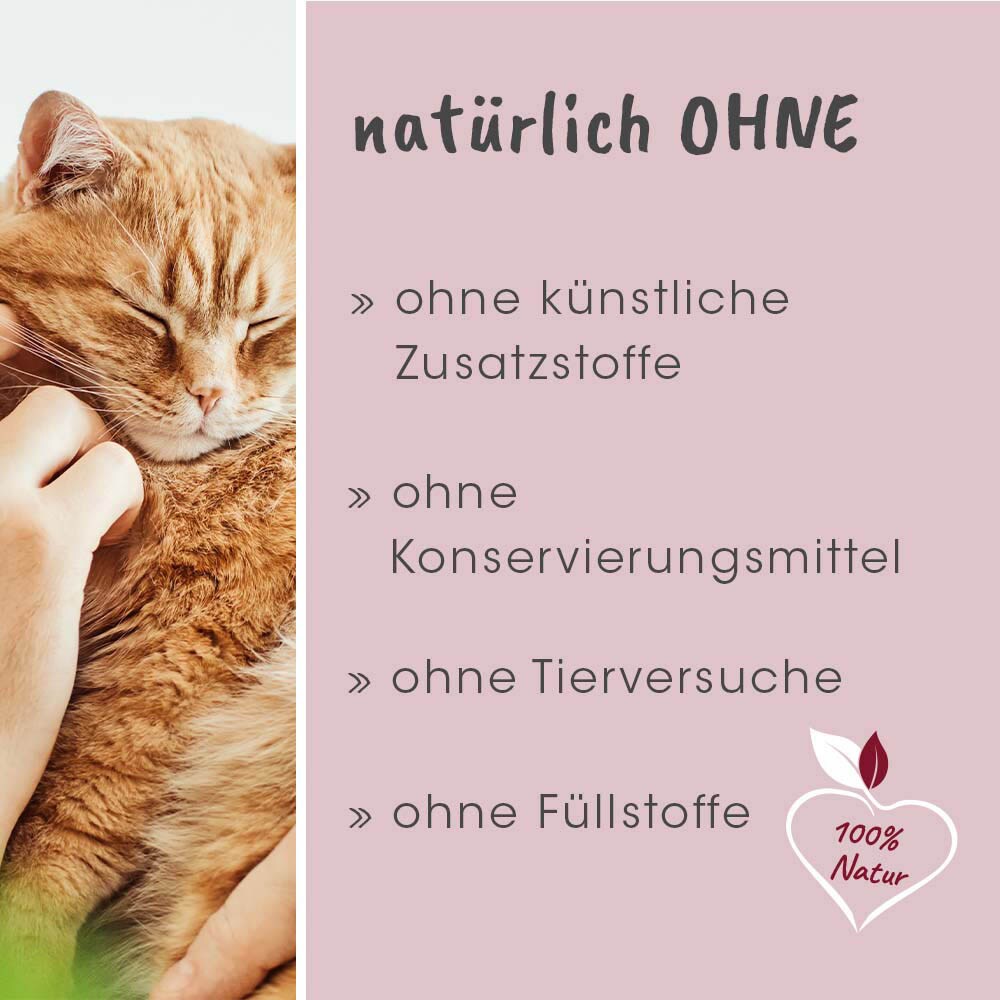cdVet feliTATZ ZahnPflege_5