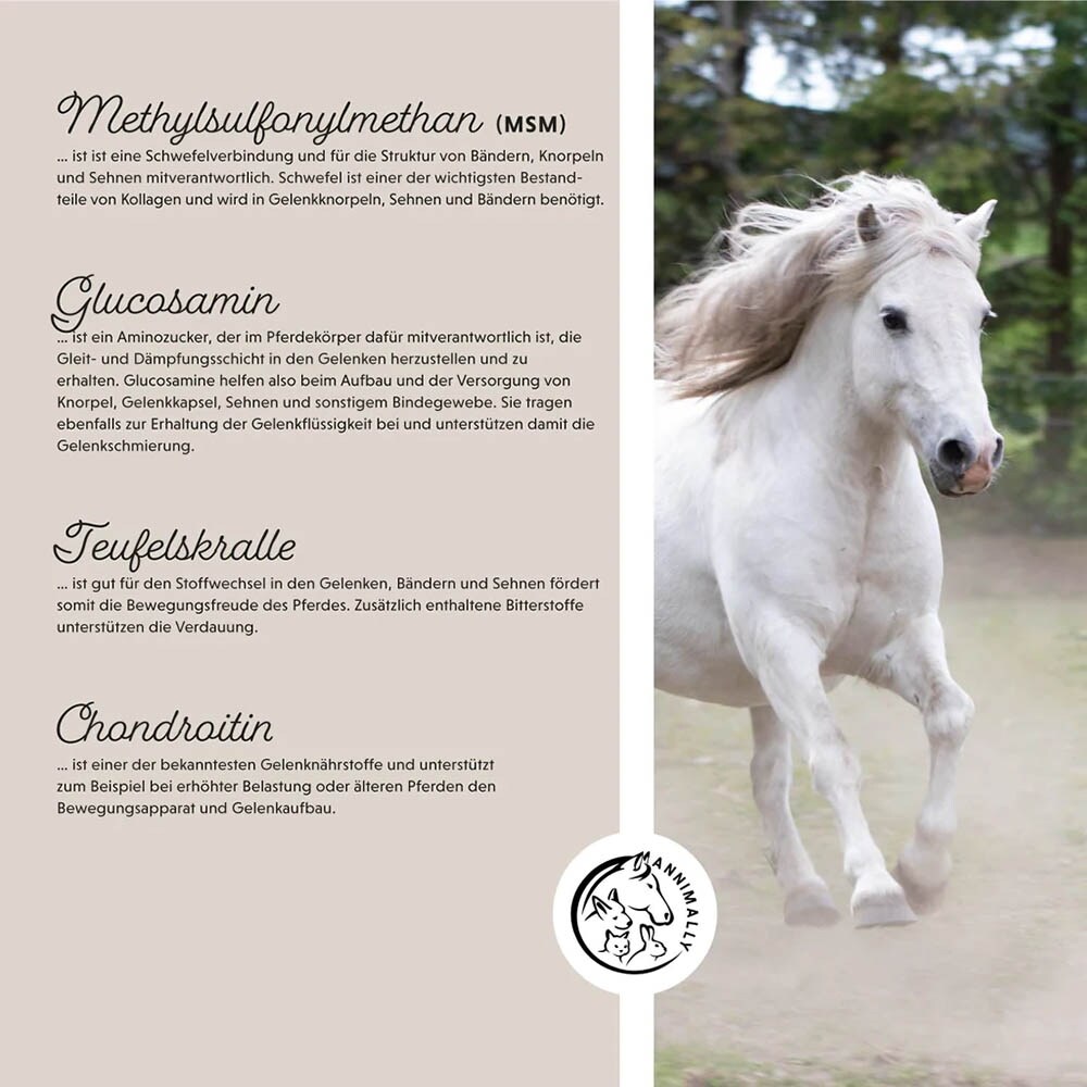 Annimally Bewegungsfreude Pulver_4