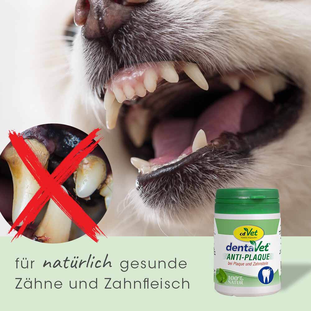 cdVet dentaVet anti-Plaque_3