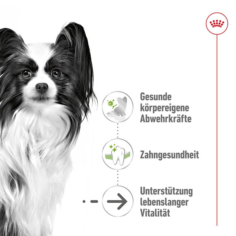 Royal Canin X-Small Adult 8+ Trockenfutter für ältere sehr kleine Hunde_2