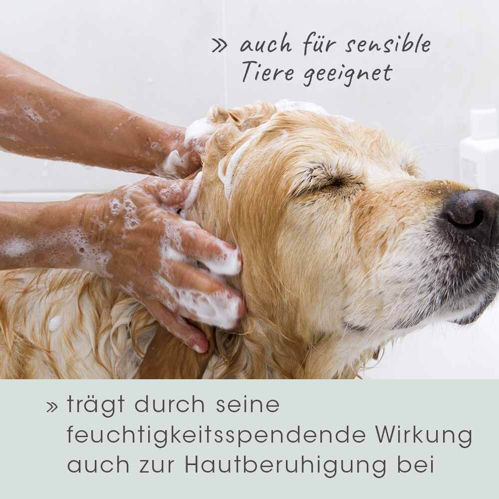 cdVet VeaVet Pflegeshampoo_6