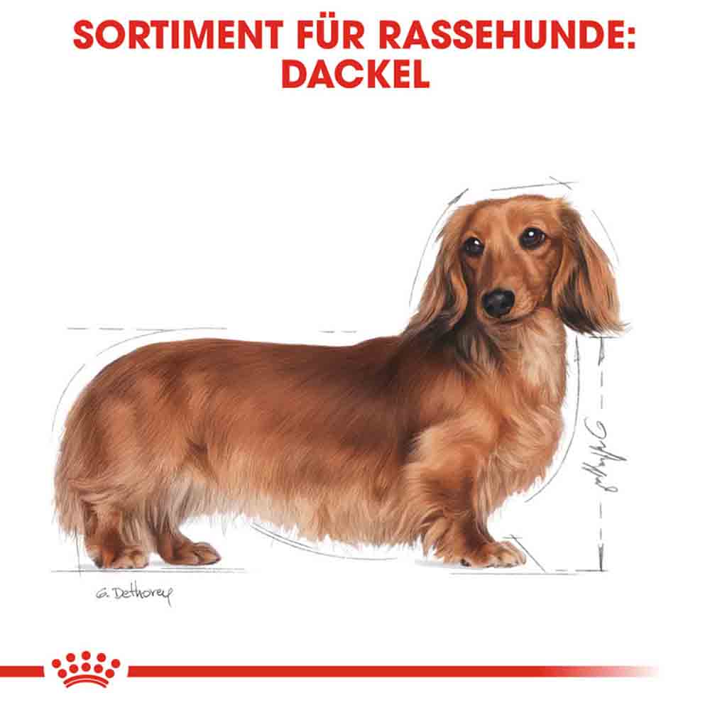 Royal Canin Dachshund Adult Hundefutter trocken_2