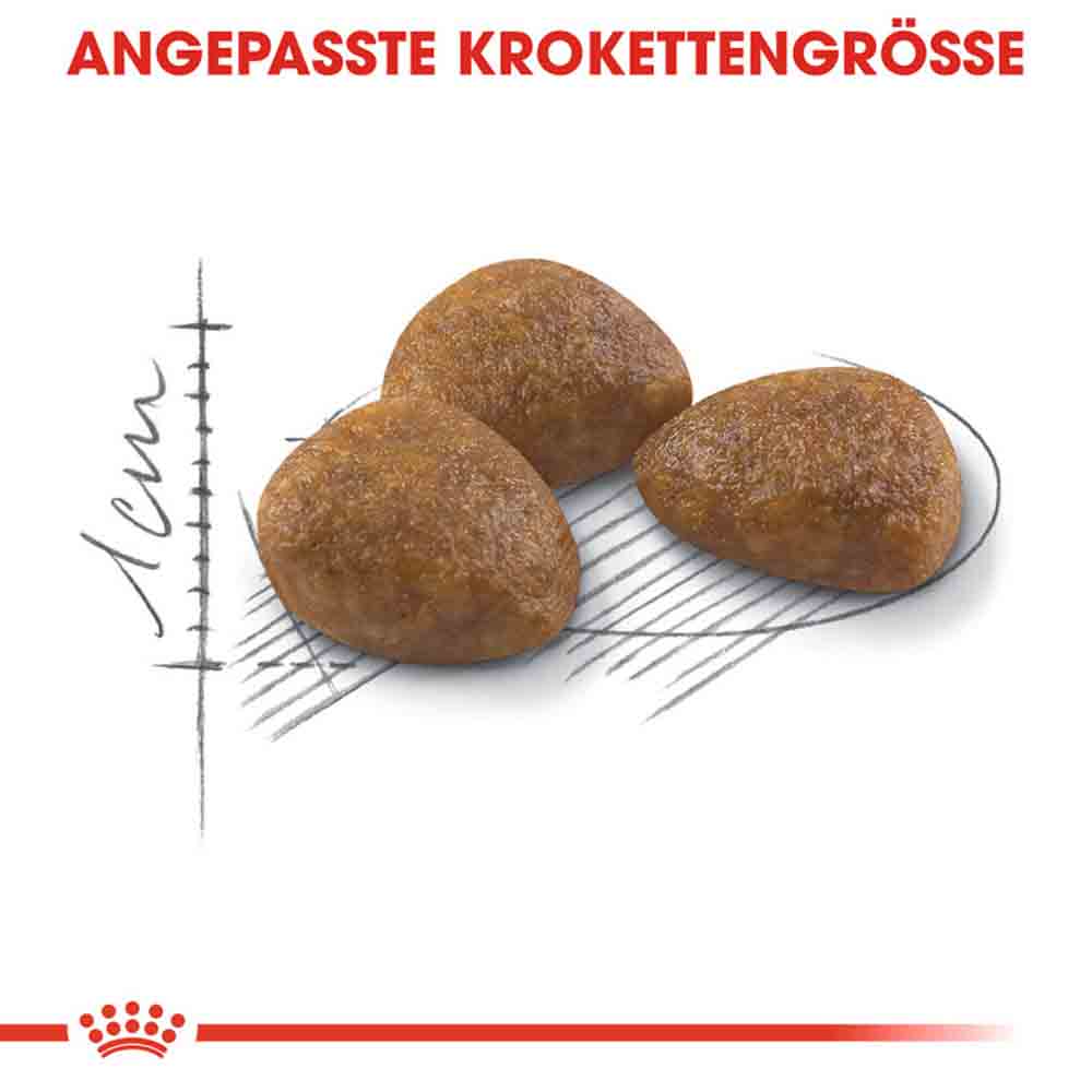 Royal Canin Outdoor 7+ Katzenfutter trocken für ältere Freigänger_4