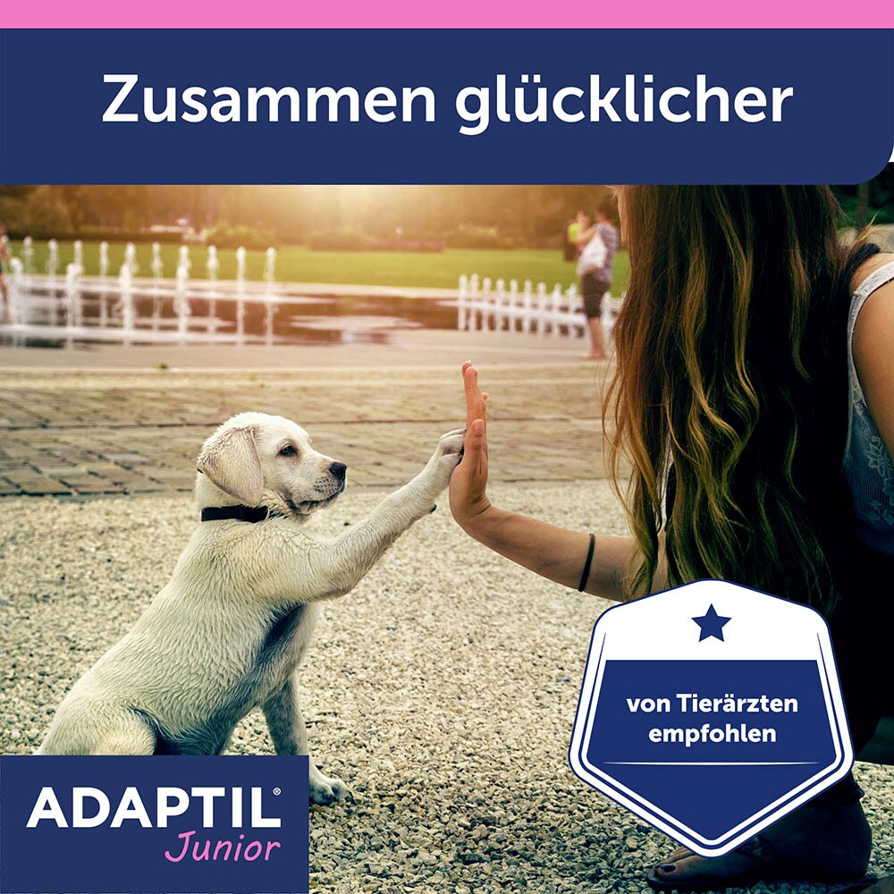 Adaptil Junior Halsband_7